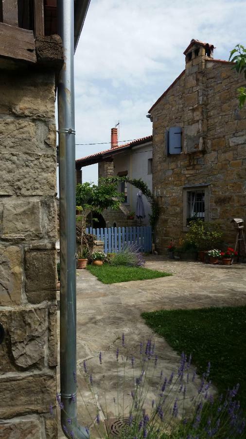 Labor Istrska Hiska Vila Marezige Exterior foto