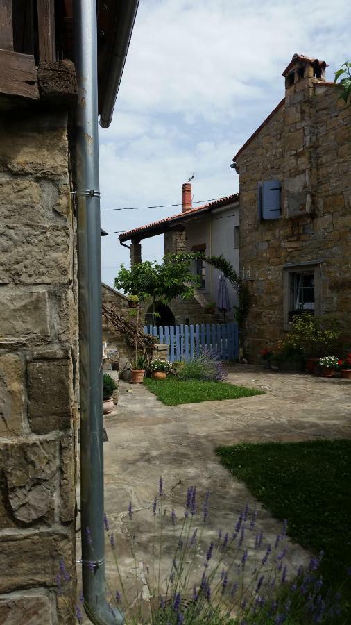 Labor Istrska Hiska Vila Marezige Exterior foto