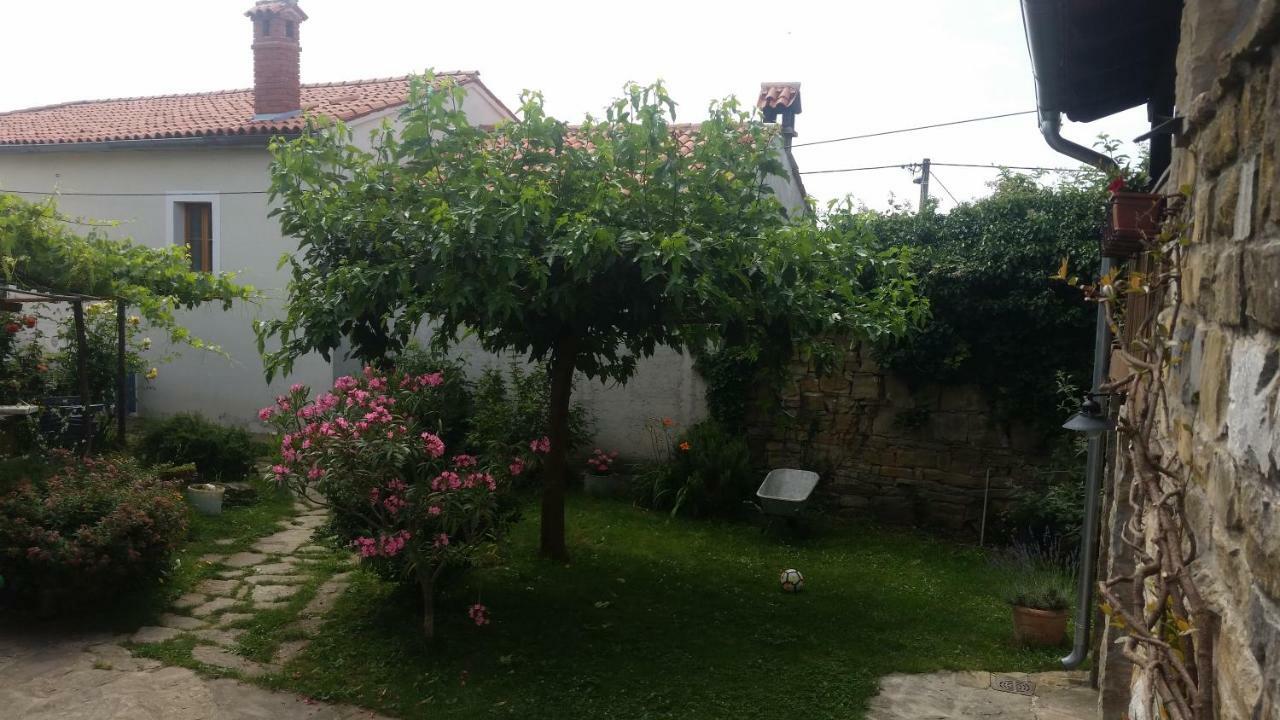Labor Istrska Hiska Vila Marezige Exterior foto